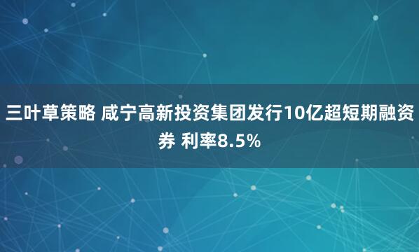 三叶草策略 咸宁高新投资集团发行10亿超短期融资券 利率8.5%